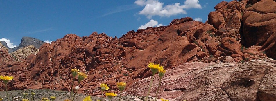 red rock 1