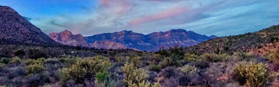 Red Rock Patrick Sylvester Pic 10