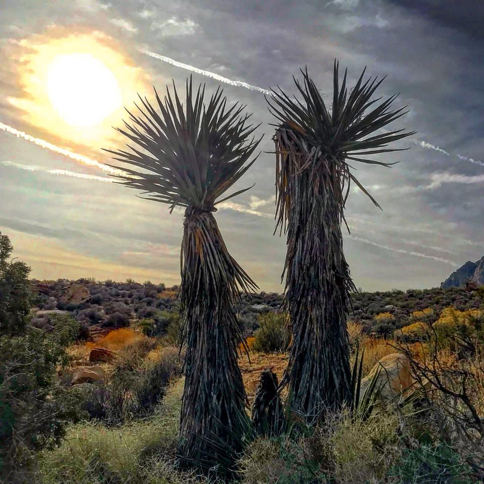 Red Rock Patrick Sylvester Pic 5