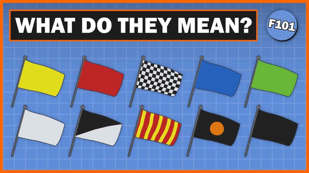 F1 flag meanings pic