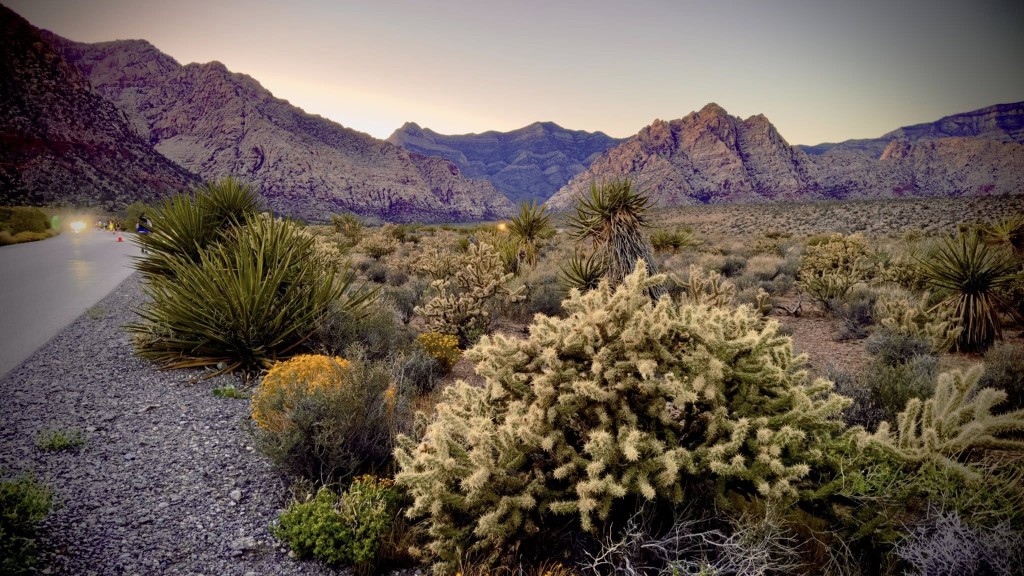 Twilight Trent Keenan 4